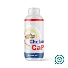 Nature - Chelix CaP...