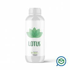 Nature - Lotus...