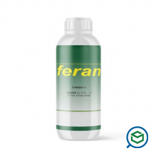Nature - Feran...