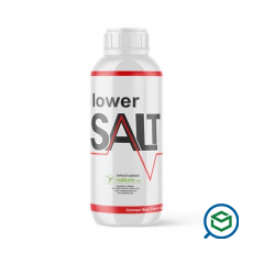 Nature - Lower Salt...