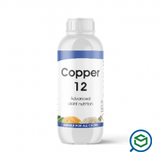 Nature - Copper 12...