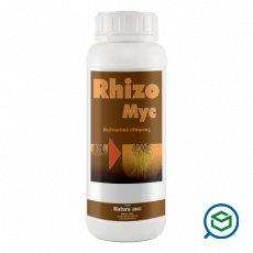 Nature - Rhizomyc...