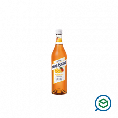 Marie Brizard - Syrup - Mango...