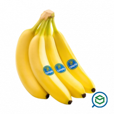 Chiquita -...